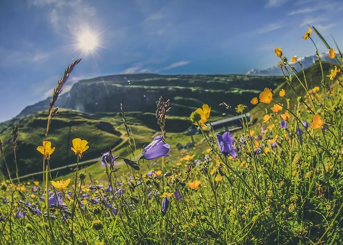 شقة أبارتمانتهاوس لا برومينيد لوكباد