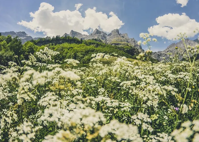 أبارتمانتهاوس لا برومينيد *