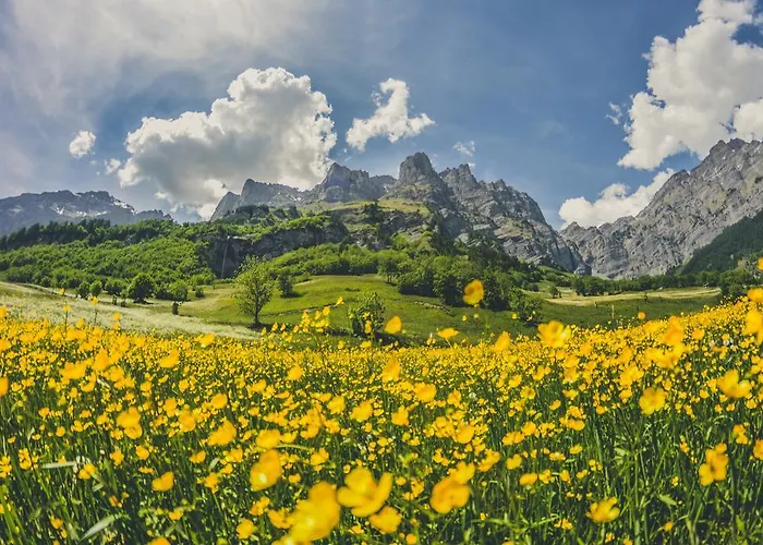 شقة أبارتمانتهاوس لا برومينيد لوكباد