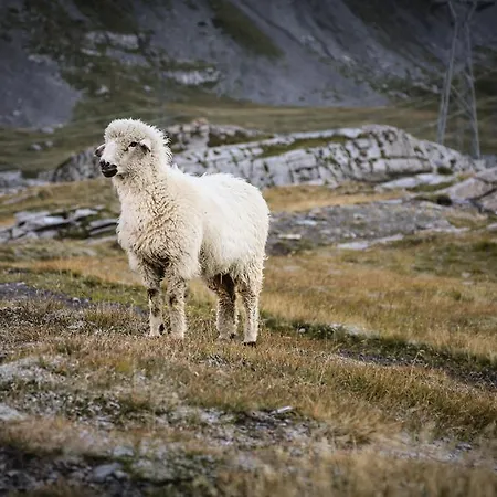 アパート Appartementhaus La Promenade